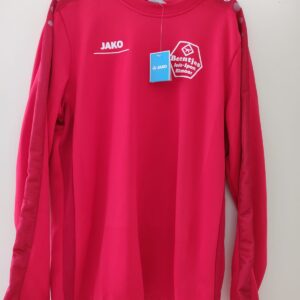 Longsleeve, voorzijde